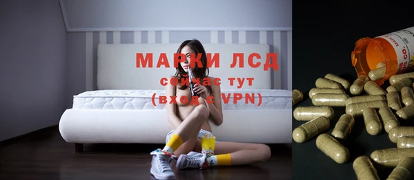 a pvp Богданович