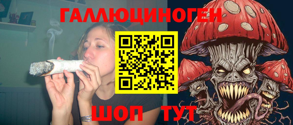 Галлюциногенные грибы прущие грибы  Вход с VPN  Галлюциногенные грибы Psilocybine cubensis  Тейково 