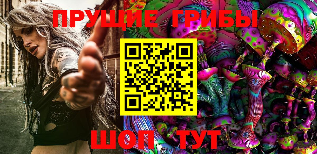 Галлюциногенные грибы GOLDEN TEACHER Тейково