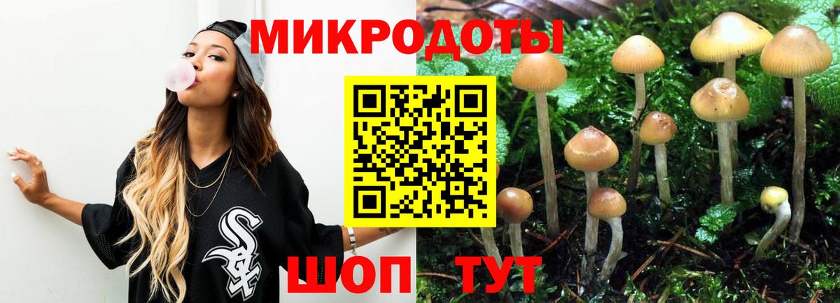 Галлюциногенные грибы Magic Shrooms  Псилоцибиновые грибы Magic Shrooms  Тейково 